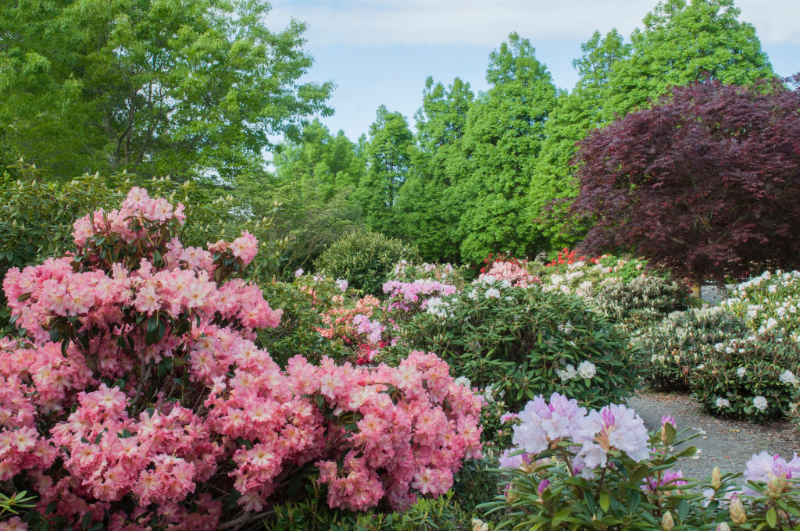 Garden Tours in Hanmer and Hurunui | Hanmer Springs TOP 10