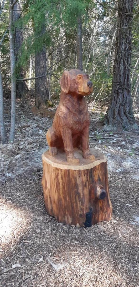 hanmer forest creatures 2.jpg