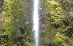 dog stream waterfall hanmer springs