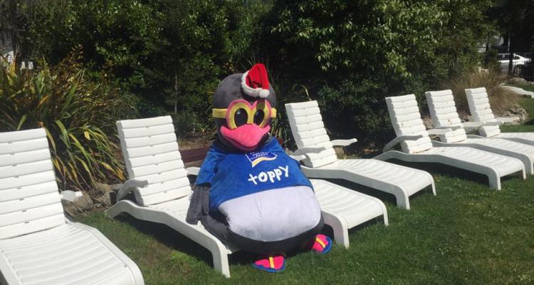 Toppy the penguin relaxing in the sun at Hanmer TOP 10