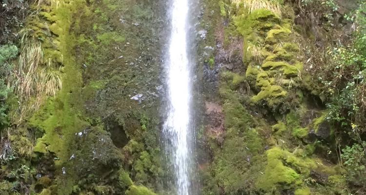 Dog Stream Waterfall walk Hanmer Springs